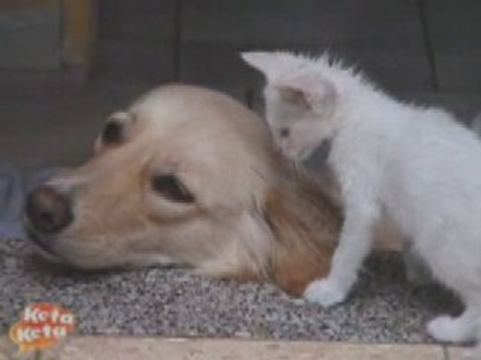 Friendship