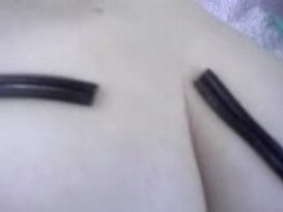L'attaque des sansue -___-