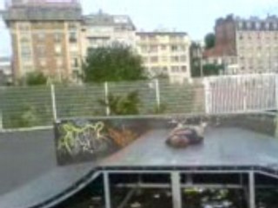 toni 360