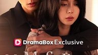 My Mafia Boss Boyfriend (DUBBED) - Full EP - Full Episode