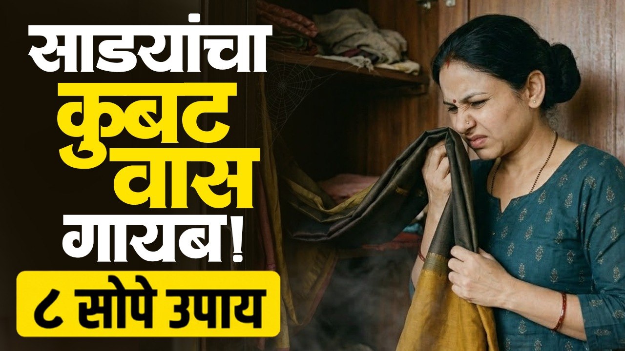 महागड्या साड्यांना बुरशी आणि कुबट वासापासून कसं वाचवाल? Monsoon Saree Care Tips