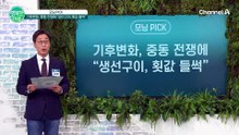 기후변화와 중동 전쟁으로 급등한 수산물 가격