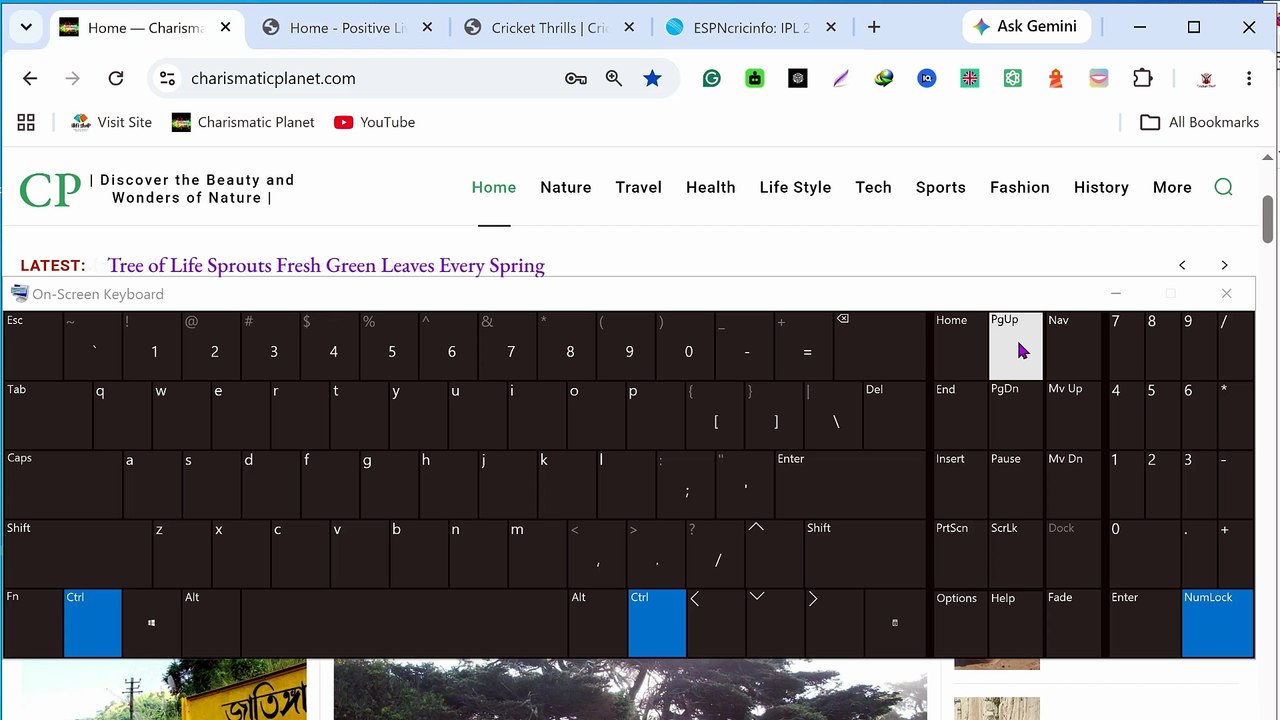 How to Switch Tabs Using Keyboard Shortcuts in...