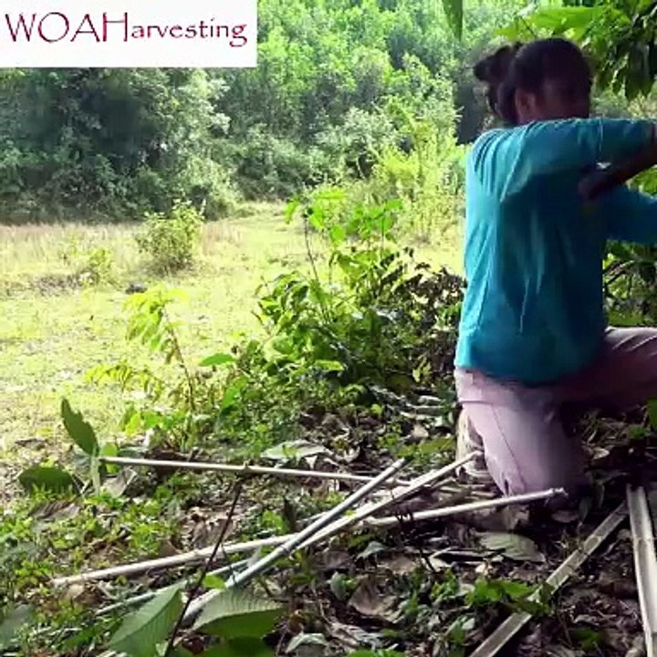 Young Couple Builds Bamboo House for a Fresh Start | DIY Shelter Construction