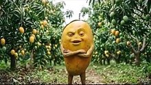 मैं फलों का राजा… आम हूँ रे! 😎🥭✨