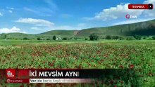 Van’da karla kaplı zirveler ve çiçek açan ovalar aynı karede buluştu