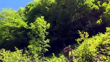 Solo Bushcraft 3 Days Camping Inside a Massive Cave Shelter