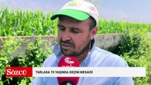 Tarlada 70 yaşında geçim mesaisi