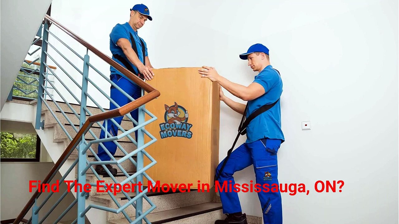 Ecoway Movers - Experienced Mover in Mississauga, ON