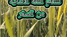 تعلم اللغة الالمانية من الصفر اعضاء العائلة