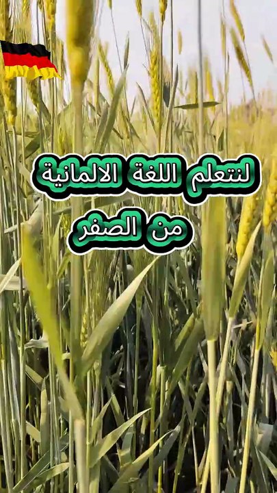 تعلم اللغة الالمانية من الصفر اعضاء العائلة