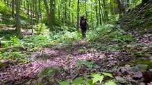 3 Days Camping Fishing Exploring the Mountains of West Virginia