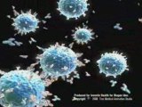 Medical animation monoclonal antibodies B cells biology