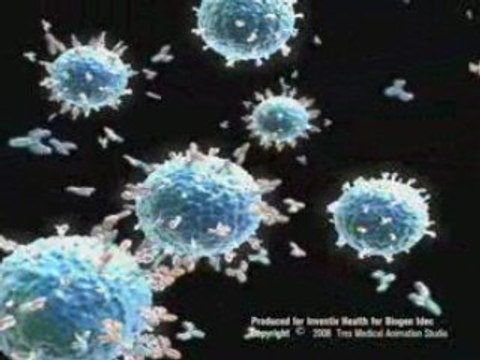 Medical animation monoclonal antibodies B cells biology