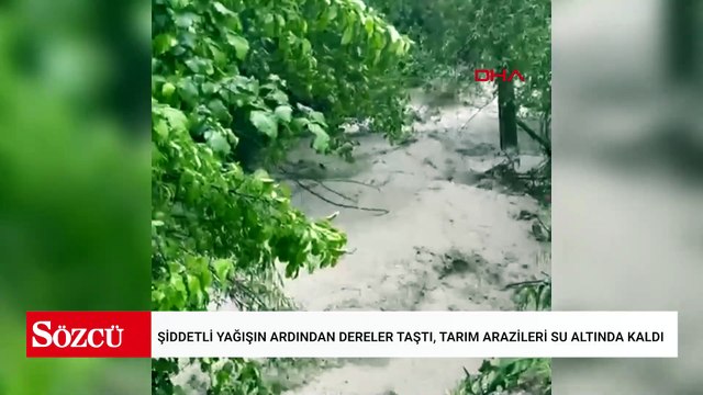 Şiddetli yağışın ardından dereler taştı, tarım arazileri su altında kaldı