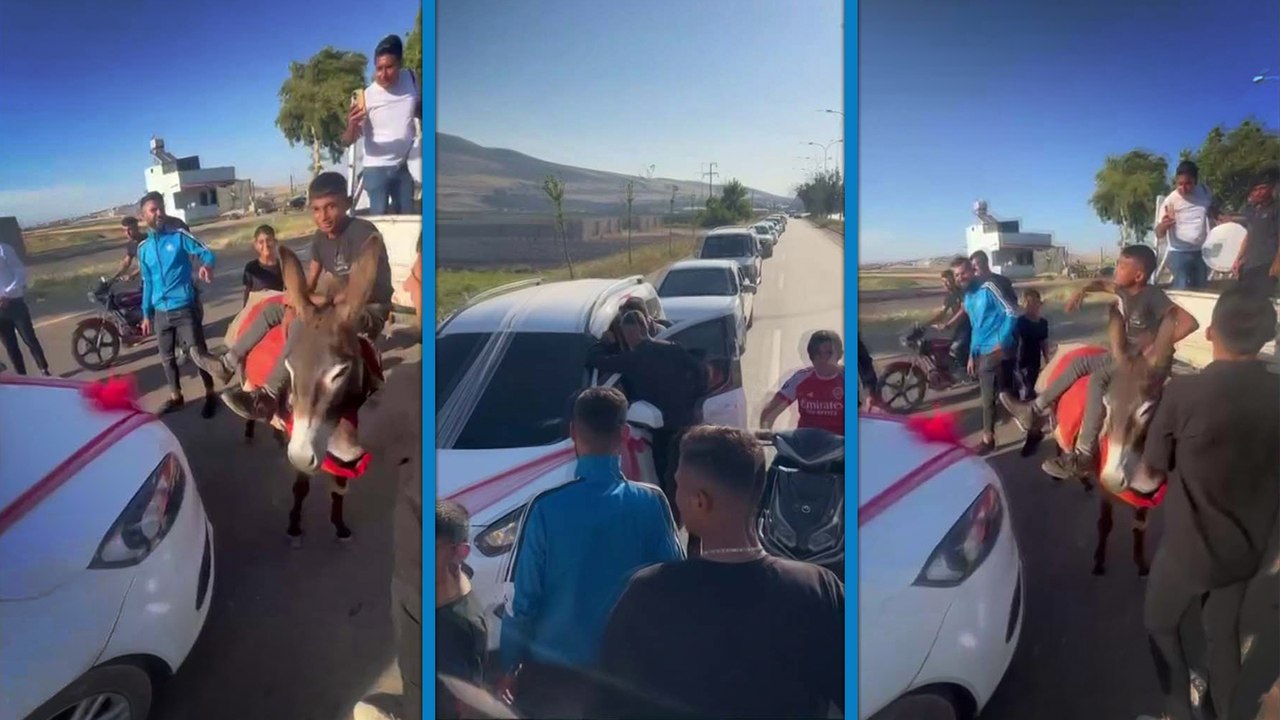Çocuk çobanlar, eşekle düğün konvoyunun önünü kesip damattan bahşiş aldı