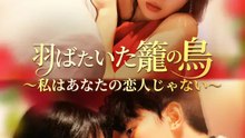 羽ばたいた籠の鳥 ～私はあなたの恋人じゃない～ | 全話 | Short Drama 日本語
