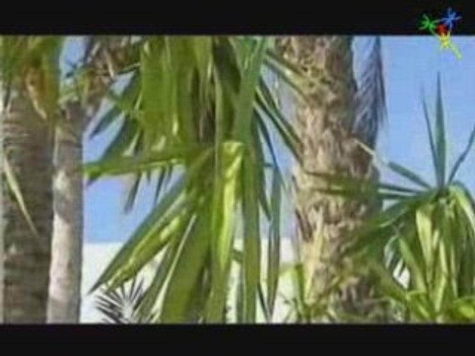 Rais Moulay mohamed belfkih "PALESTINE  .."