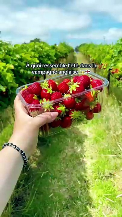 L'été dans la campagne anglaise