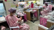 Pets Surpass Child Population As Taiwan's Birth Rate Crisis Worsens