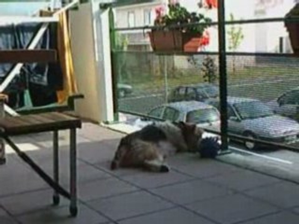Chez moi le jour !