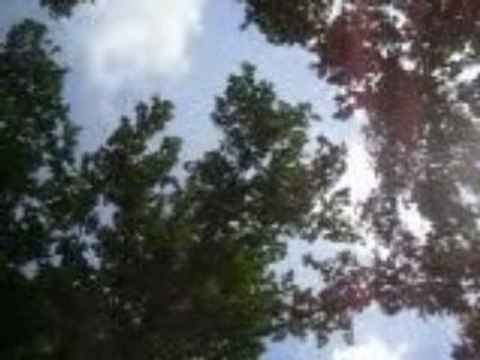 moi et mon pote en dirt street au 44 mdr