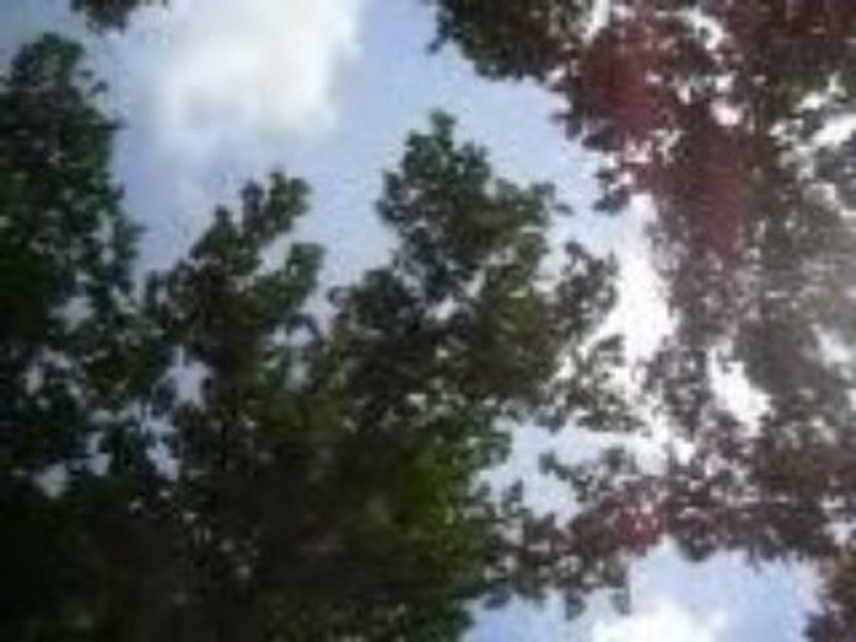 moi et mon pote en dirt street au 44 mdr