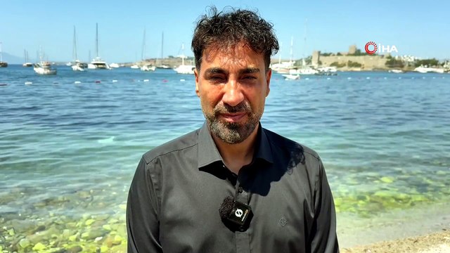 Bodrum sahillerinde yat trafiği: Lüks yatlar koy ve sahilleri kapladı
