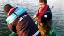 Kastamonu’da baraj gölünde yüzlerce metre hayalet ağ ele geçirildi: 200 kilogram sazan balığı kurtarıldı