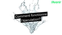 Santé/comment fonctionne l'éjaculation?