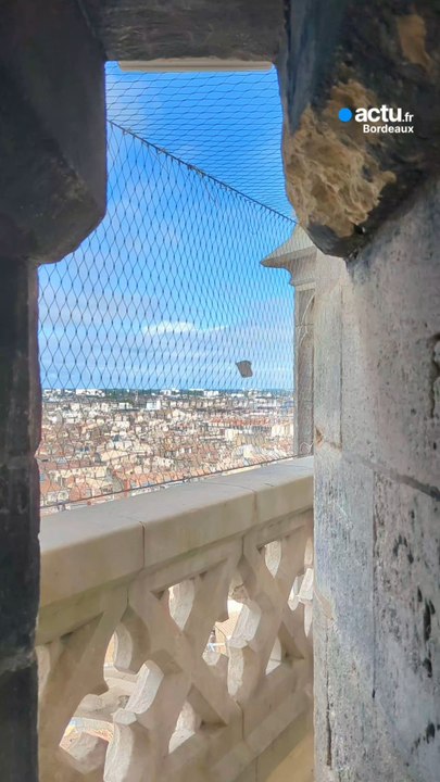 On est monté en haut de la flèche Saint-Michel à Bordeaux : elle rouvre au public après un chantier exceptionnel