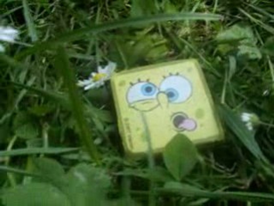 BOB se les caille =Pp