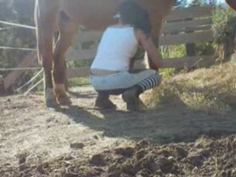 Aventure 1