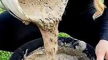 Garden decoration with cement- simple and amazing 🎃🌿 #shorts