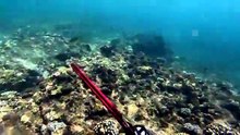 EXPLORING  FISHING THE REMOTE ISLANDS FOR FOOD