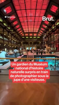 Un gardien du Muséum national d’histoire naturelle surpris en train de photographier sous la jupe d’une visiteuse.