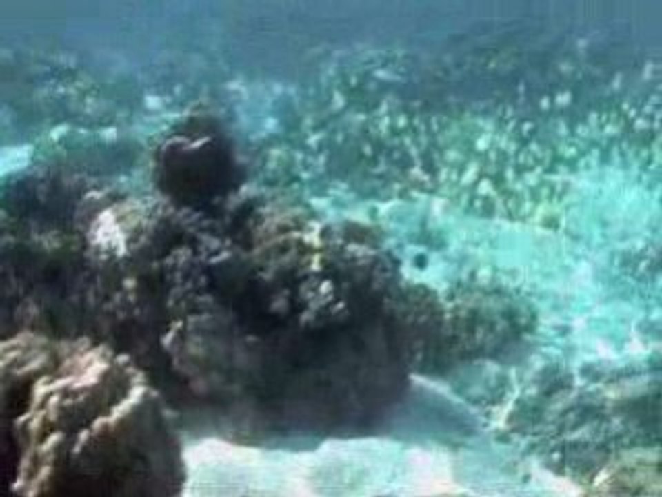 Temae MOOREA 1