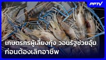 เกษตรกรผู้เลี้ยงกุ้ง วอนรัฐช่วยอุ้ม ก่อนต้องเลิกอาชีพ | เรื่องใหญ่ Live Talk | 11 มิ.ย. 69