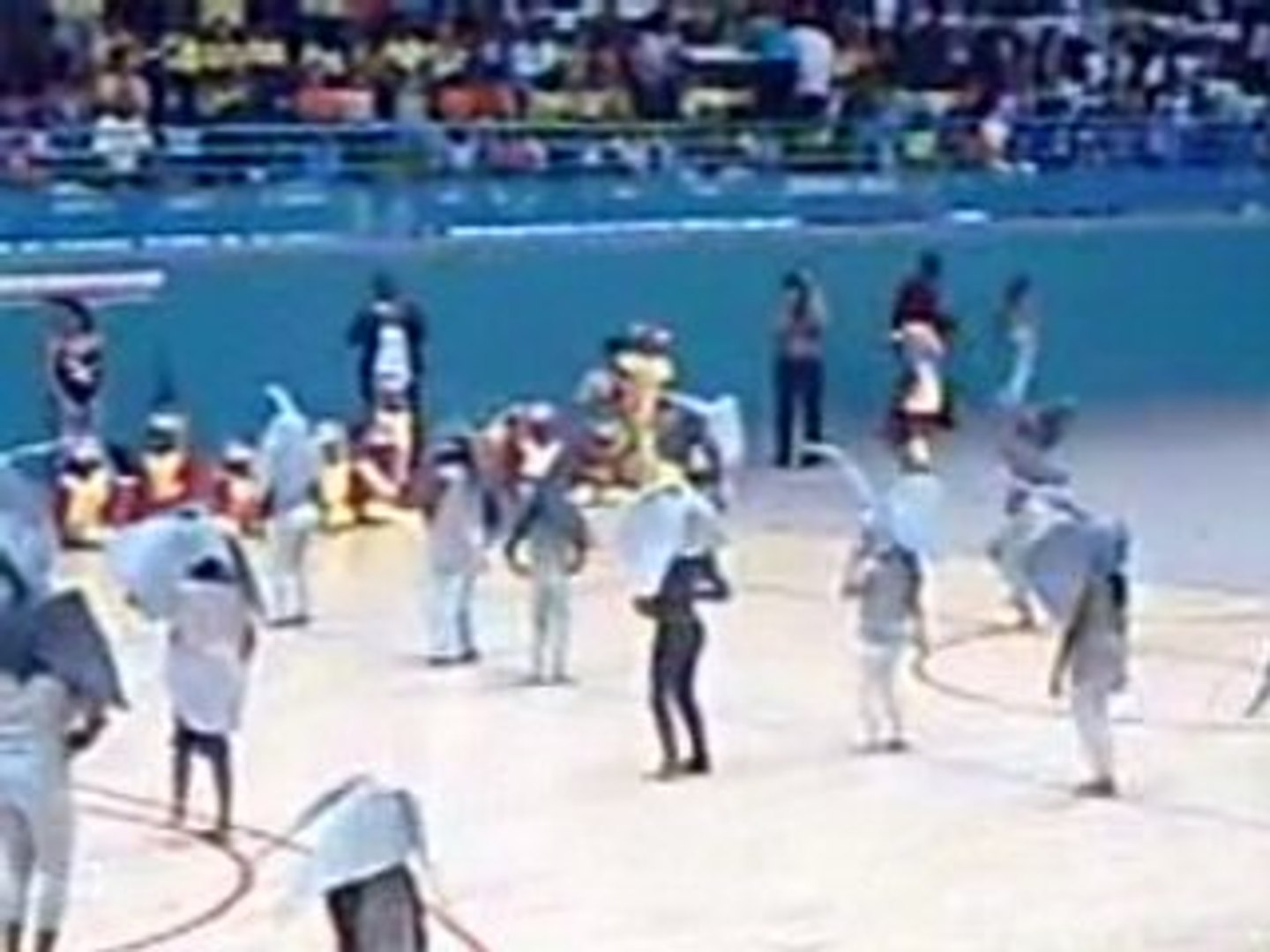 ⁣Danse des éléphants