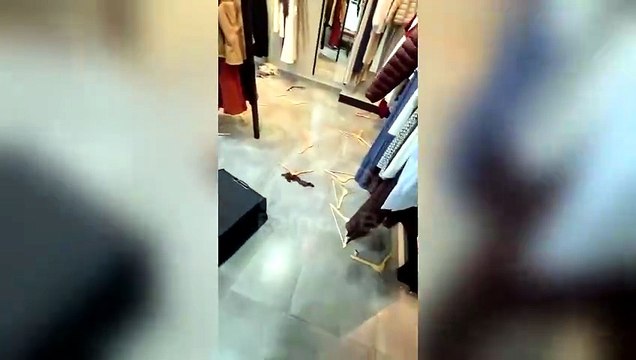 Bandidos invadem loja de roupas no Bacacheri e fazem 'limpa'