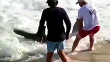 homem captura tubarão branco em nantucket