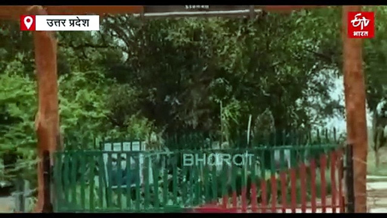 प्रवासी पक्षियों पर मंडराया मौत का साया, सूखने की कगार पर उत्तर प्रदेश का प्रसिद्ध सरसई नावर वेटलैंड
