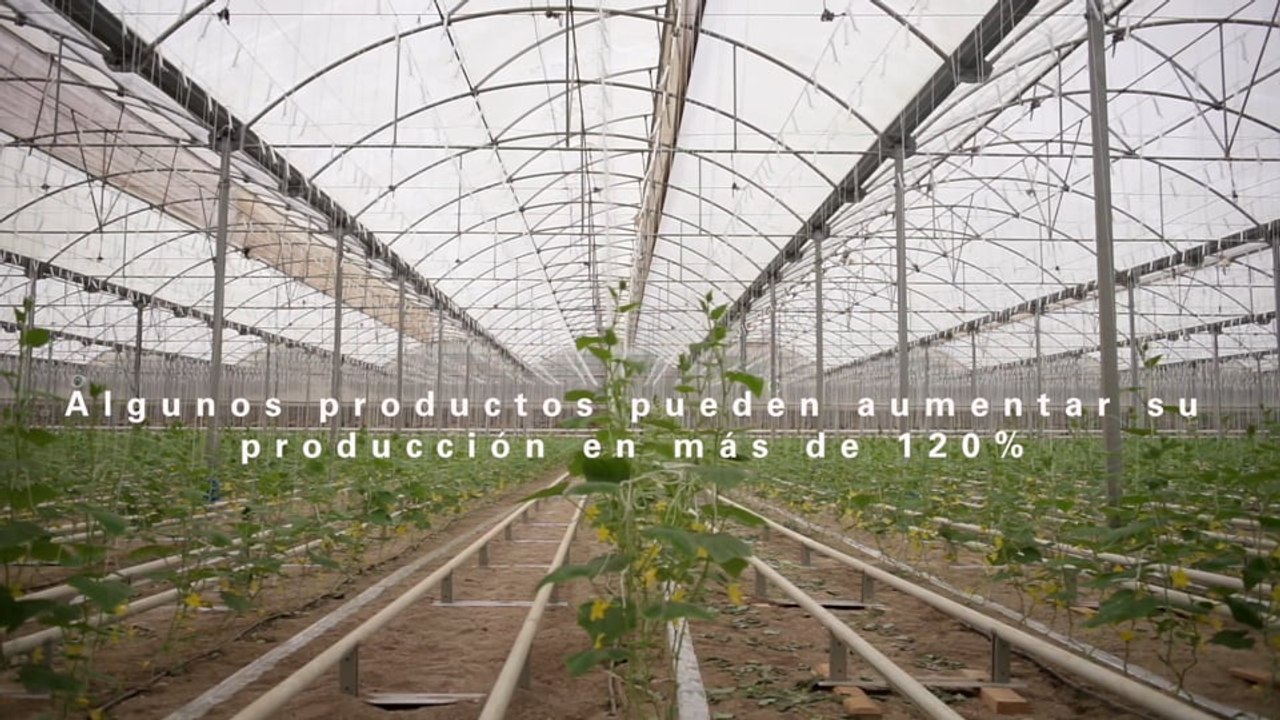 NATIVE - DOCUMENTAL