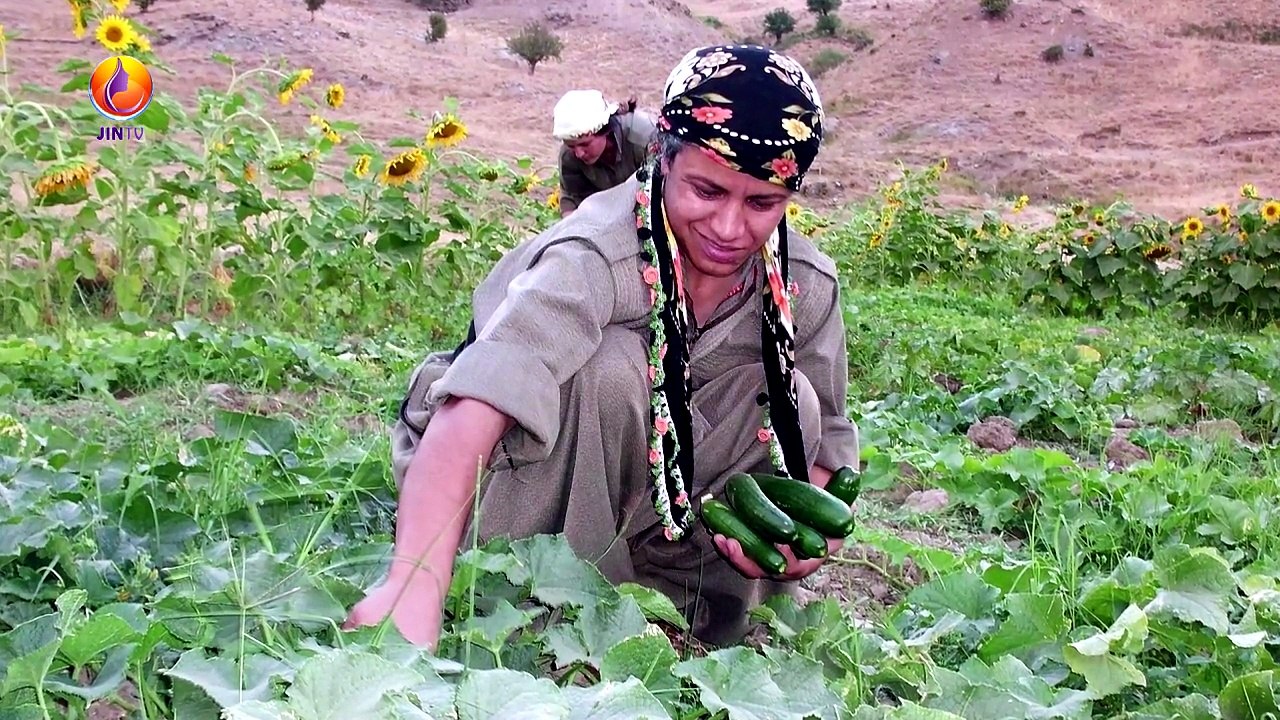 JIN TV-ZİLAN'IN ARDILLARI-Zilan Adar'ın PAJK Raporu'ndan