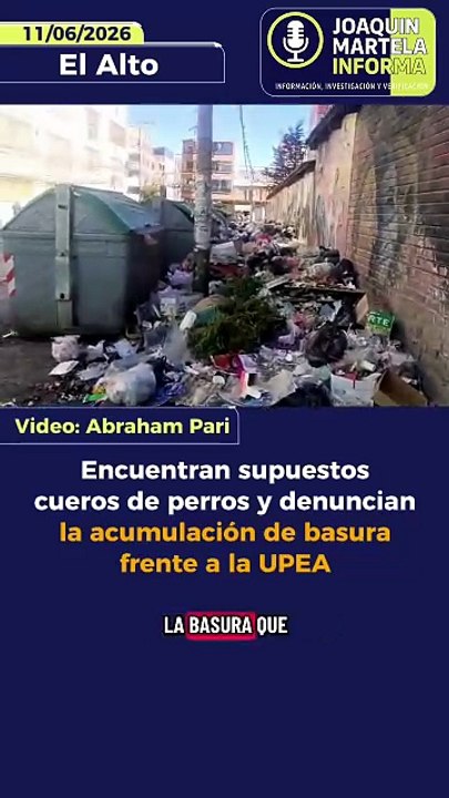 Encuentran supuestos cueros de perros y denuncian la acumulación de basura frente a la UPEA