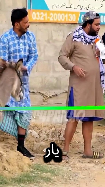 The best comedy videos