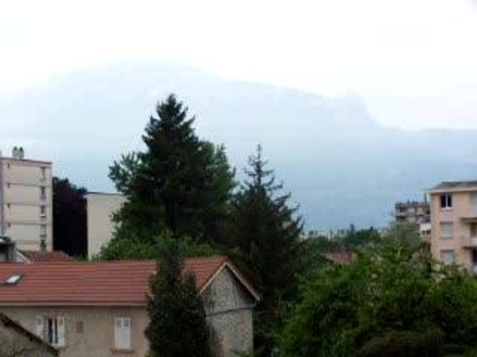 Chants d'oiseaux en ville