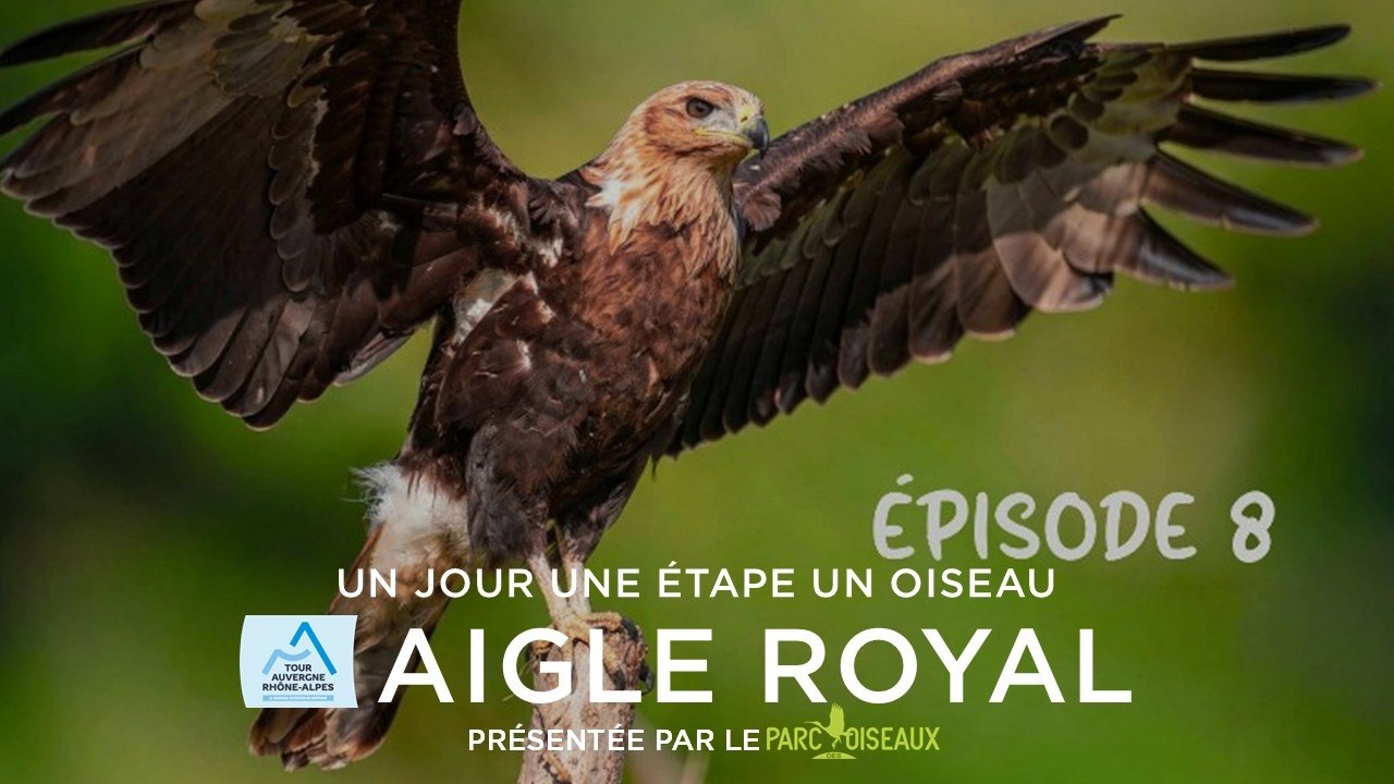 Tour Auvergne-Rhône-Alpes 2026 - Stage 8 - One Day. One Stage. One Bird