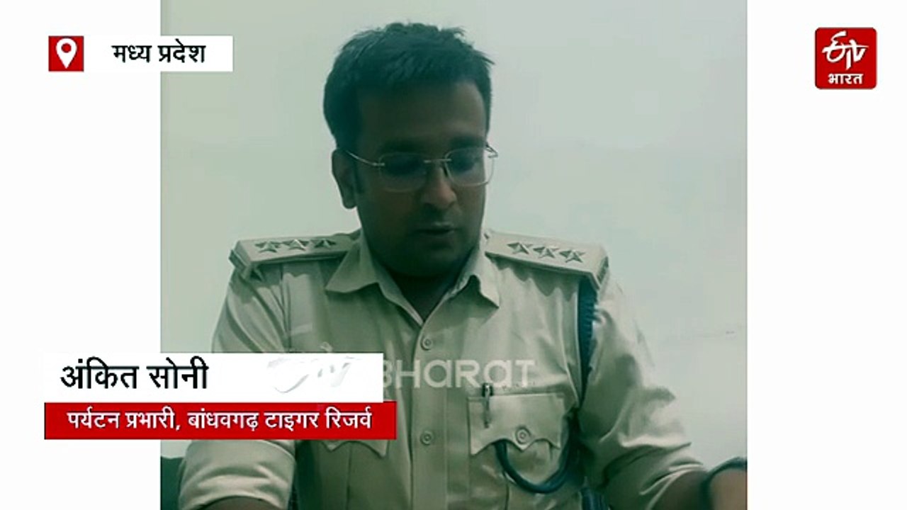 बांधवगढ़ में जिप्सी चालक सावधान! जंगल भ्रमण में नियमों को नहीं मानने पर होगा तगड़ा एक्शन