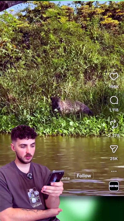 GODZILLA EXISTE VRAIMENT ? 😱 #godzilla #dinosaure #iguane #animaux #nature